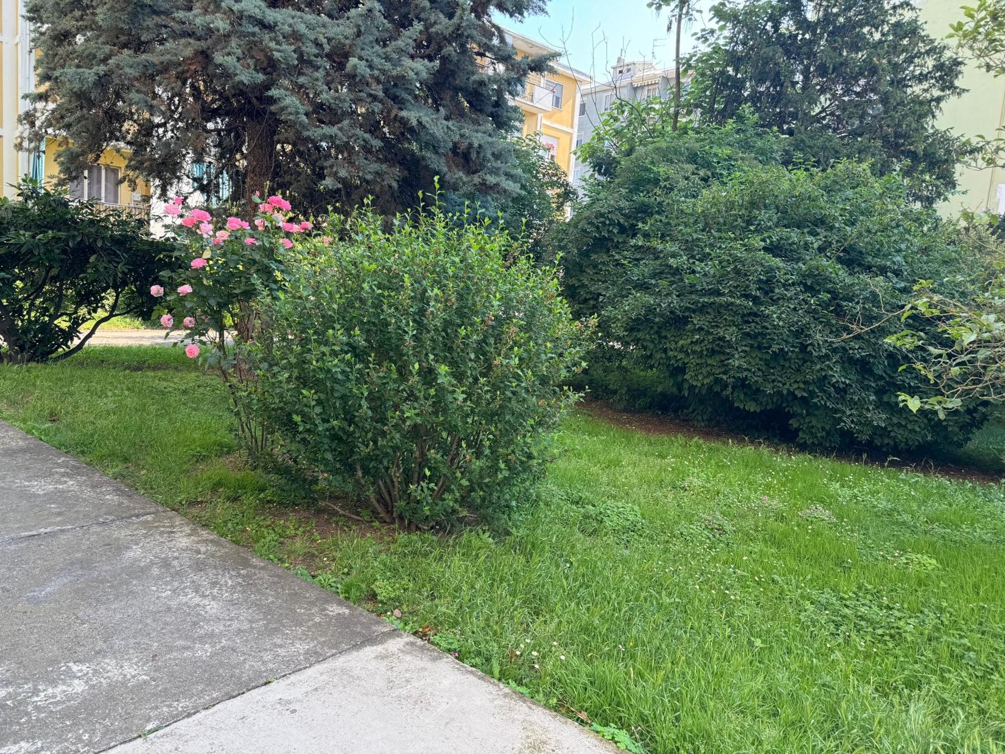 Casa Grivola 29 Appartement Vercelli Buitenkant foto
